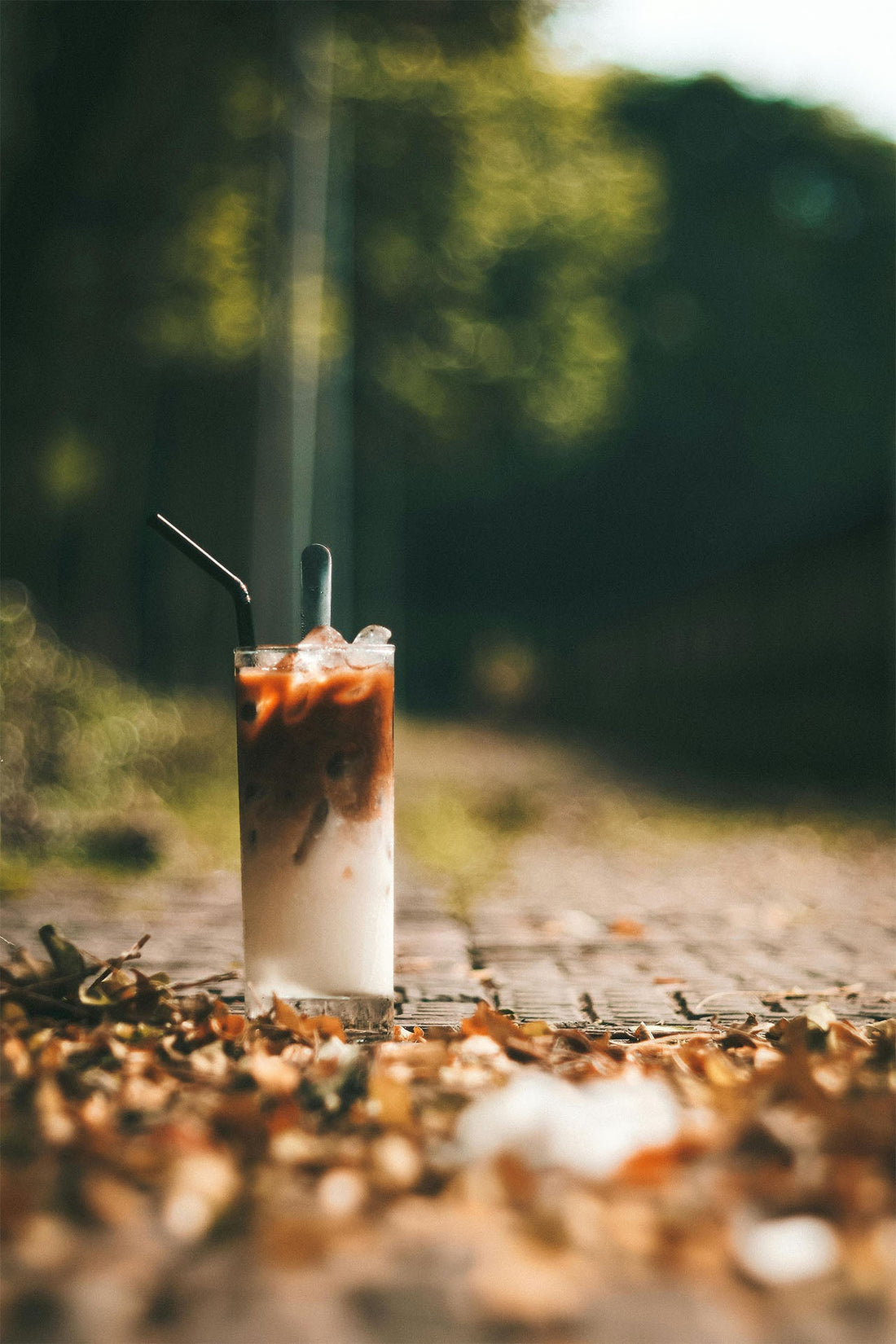 Explore the Bold World of Vietnamese Iced Coffee with Kafiex: Strength, Brands, and Starbucks Comparisons